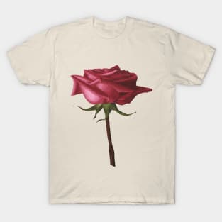 Kiss from a Rose-(There's a Face in It) T-Shirt